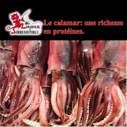 Farine de calamars