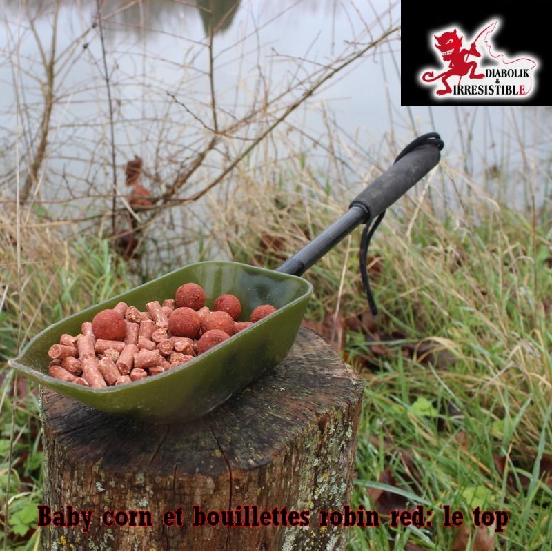 Baby corn Robin Red