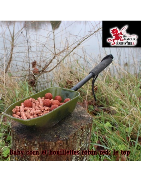 Baby corn Robin Red