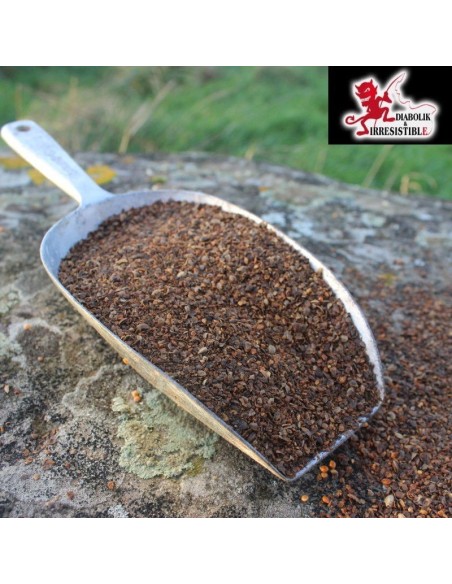 Chènevis grillé moulu