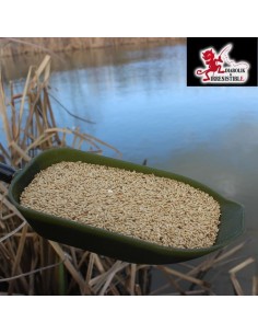 GRAINE D'ALPISTE AMORCAGE 2