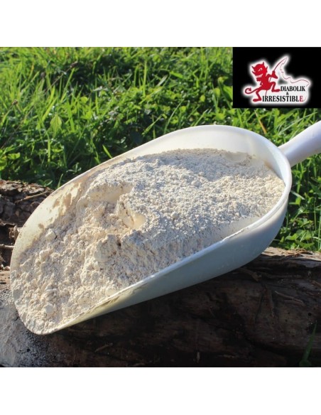 Soja dégraissé toasté