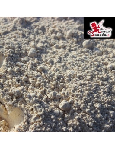 Soja dégraissé toasté