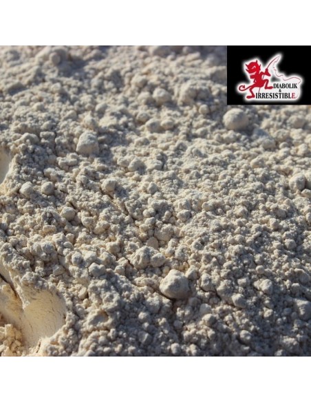 Soja dégraissé toasté