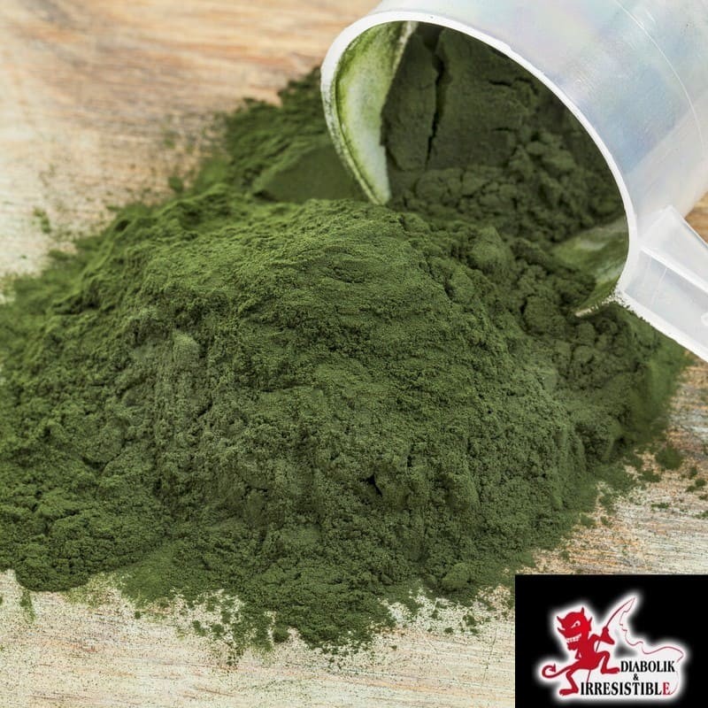 Spiruline