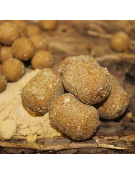 Dumbell Monster Liver