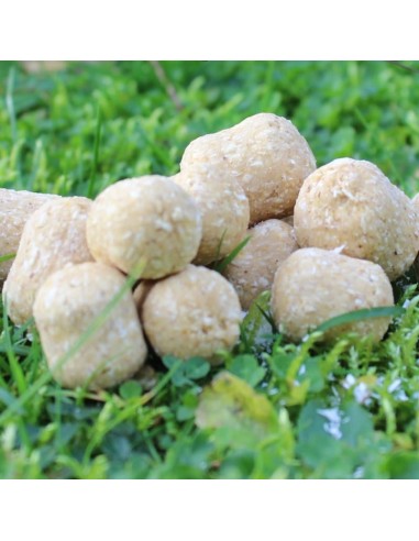 Dumbell Criminal Scopex