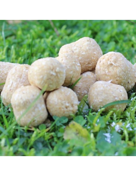 Dumbell Criminal Scopex