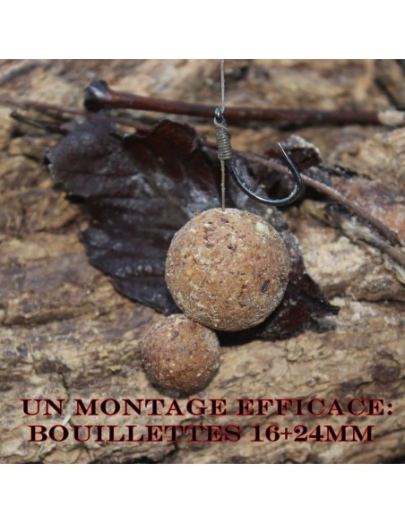 Bouillette Calamar Pineapple