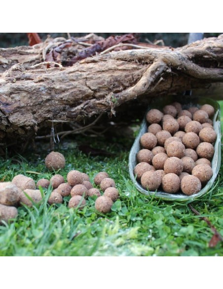 Pack bouillettes Squid Pineapple