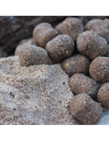 Dumbell Squid Pineapple