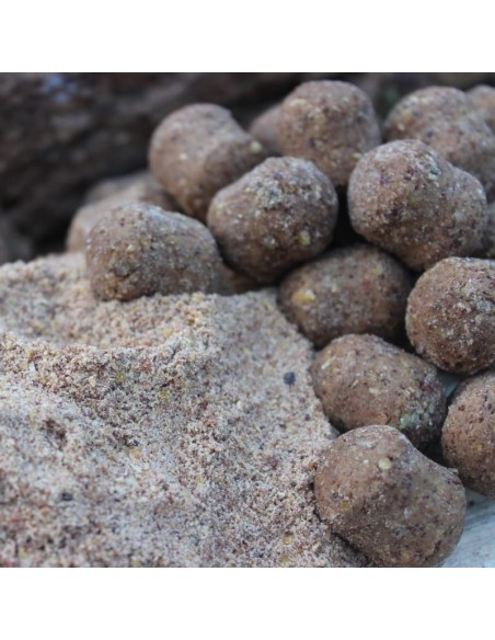 Dumbell Squid Pineapple