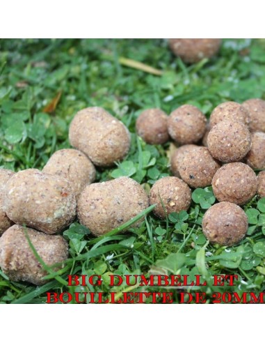 Dumbell Squid Pineapple