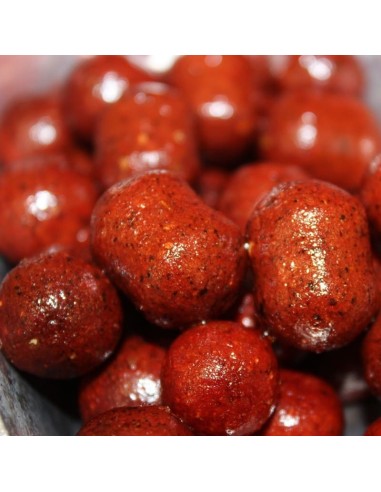 Pack bouillettes ail foie 5kg