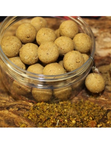 Bouillette moule ecrevisse