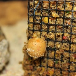 Bouillette Tiger Fruit 30mm