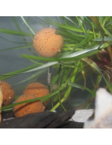 Bouillette flottante Hot Crayfish