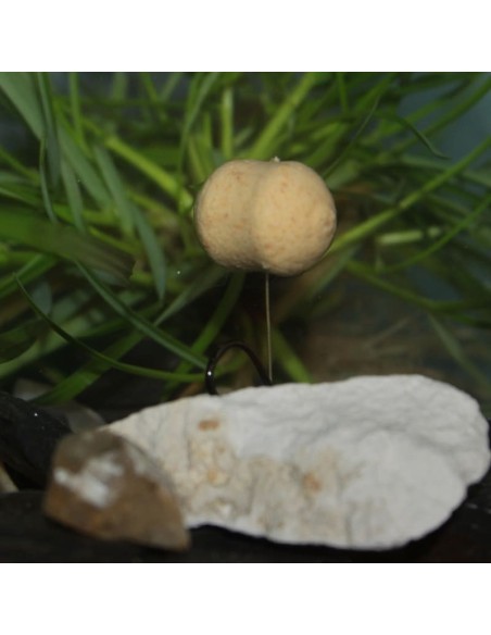 Bouillette flottante Moule Ecrevisse