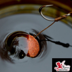 Booster ail pour carpe