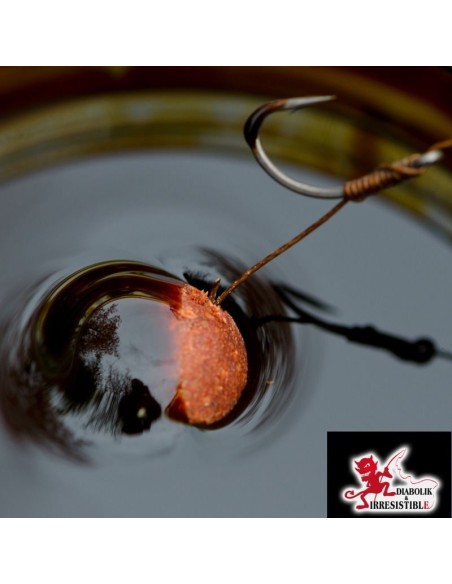 Booster ail pour carpe