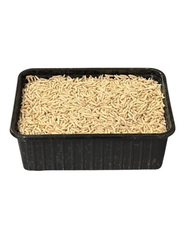 Pinkies Congelés - pêche à la Carpe - 1 litre