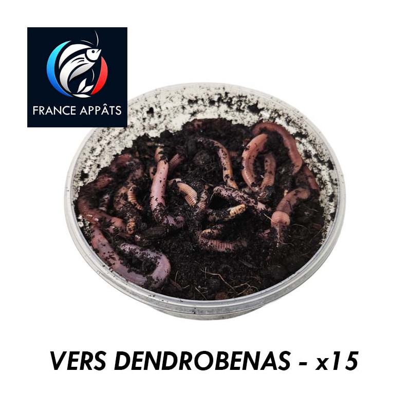 Vers Dendrobenas