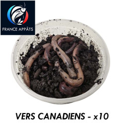 Vers Canadiens pour le Pêche