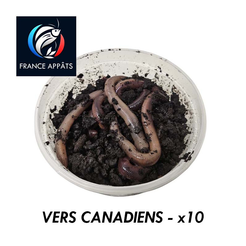 Vers Canadiens pour le Pêche