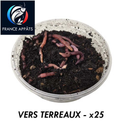 Vers de Terreaux pour la pêche