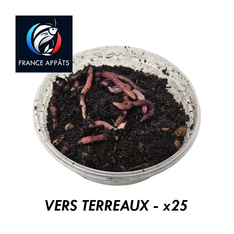 Vers de Terreaux pour la pêche