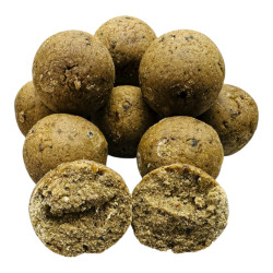 Bouillette crabthonic