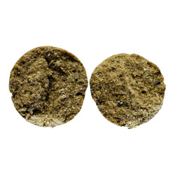 Bouillette crabthonic