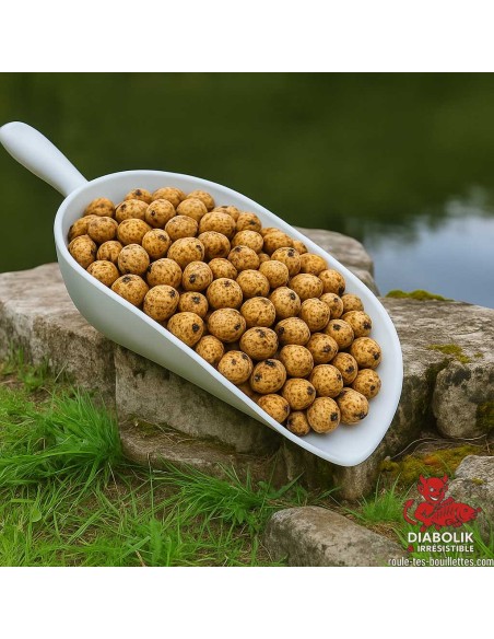 Noix Tigrées Standard - Amorçage