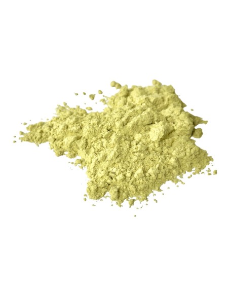 Wasabi en poudre – épice « hot » pour bouillettes, sticks & amorces carpe