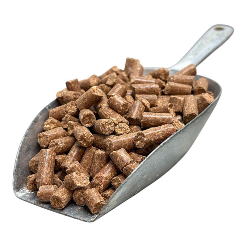 Baby Corn Krill — appât & amorçage carpe haute attractivité