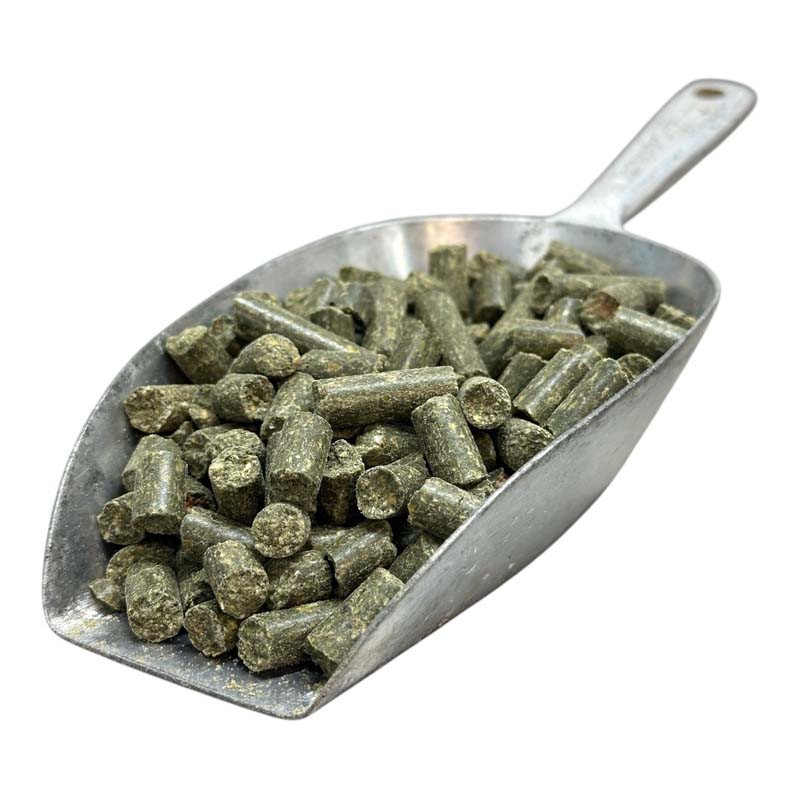 Baby corn moule verte