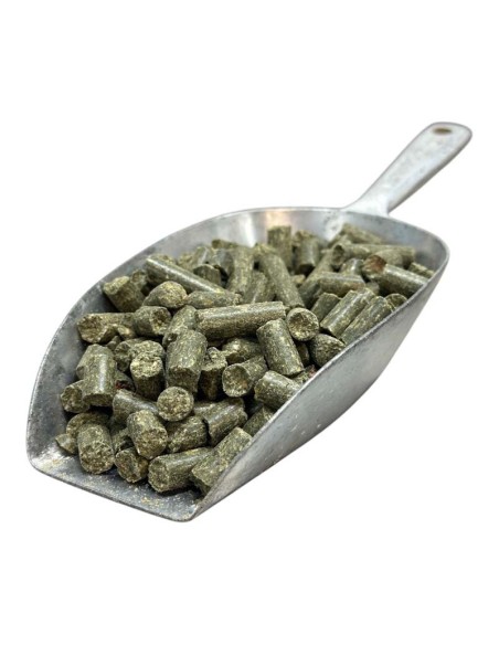 Baby corn moule verte