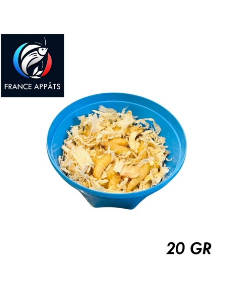 Teigne de ruche pêche au coup