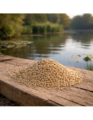 GRAINE D'ALPISTE AMORCAGE