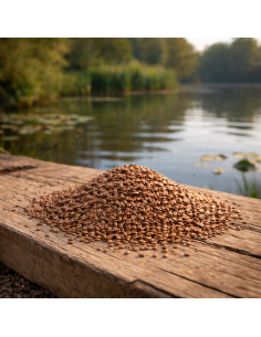 Graines de lin pour carpes