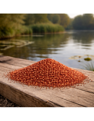 GRAINE DE MILLET ROUGE SPECIALES AMORCAGE