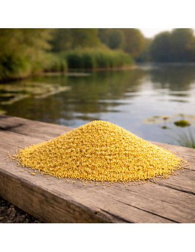 MILLET JAUNE POUR BOUILLETTE