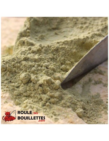 farine de moule verte pour bouillettes maison - roule tes bouillettes.com