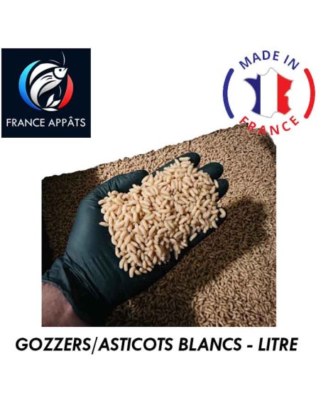 Asticots Gozzer Beluga Blanc au litre | Gros asticots résistants pour la pêche
