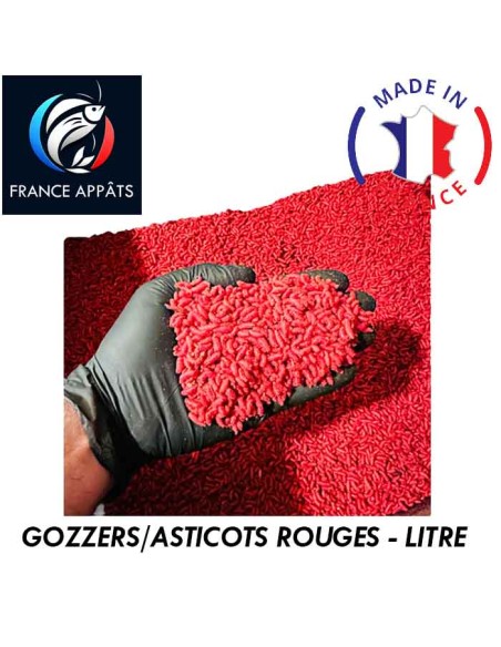 Asticot Rouge