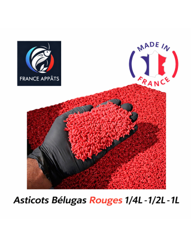 asticot rouge