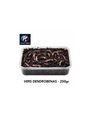 VERS DE TERRE PECHE DENDROBENAS 250GR