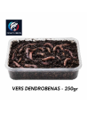 VERS DE TERRE PECHE DENDROBENAS 250GR