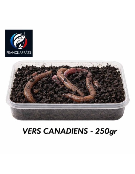 VERS CANADIENS 250GR