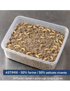 ASTICOT ET FARINE D'ASTICOTS